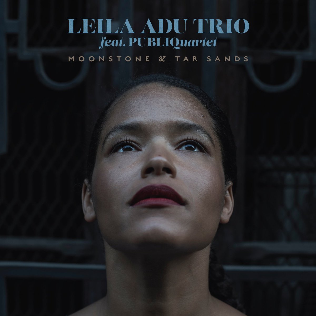 Thurs April 4  <a href="/JoesPub/">Joe’s Pub</a> LEILA ADU TRIO ft. Members of <a href="/PUBLIQuartet/">PUBLIQuartet</a> 'Moonstone &amp; Tar Sands' Vinyl Release Party
Tickets: publictheater.org/productions/jo…
