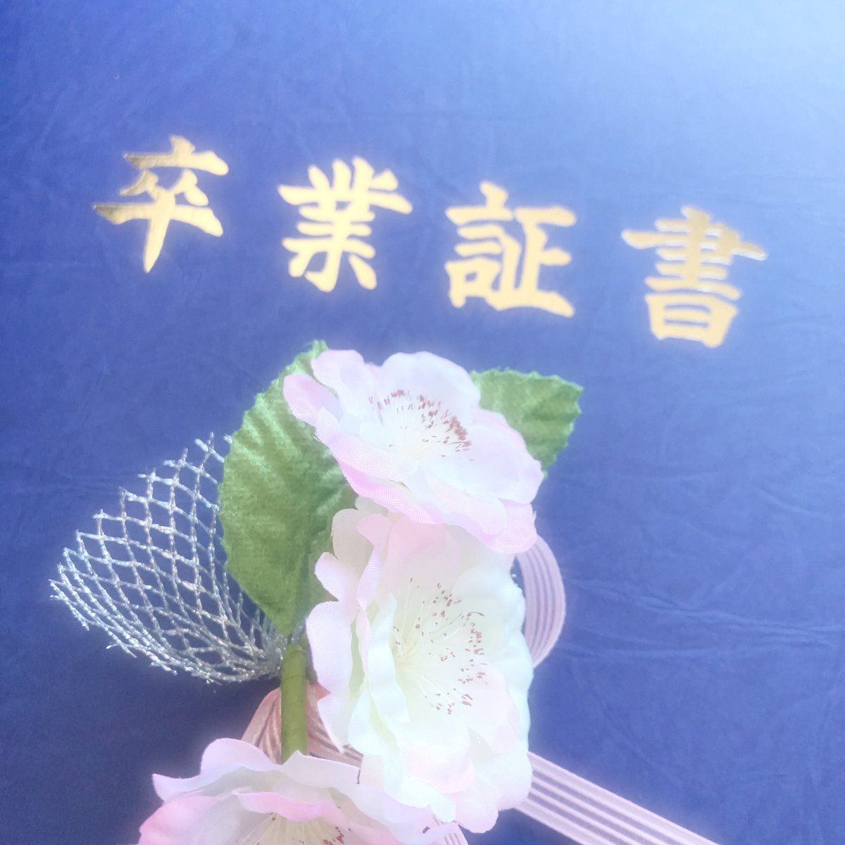 Y64227's tweet photo. 【ご報告】
私事ですが、この度無事に第1志望の公立高校合格
並びに義務教育の全過程を終了致しましたことをご報告させて頂きます。

義務教育未終了にも関わらず、丁寧なお取引をして頂き、誠にありがとうございました。
今後ともよろしくお願い致します。
🔗内の表記は4月1日に変更させて頂きます。 https://t.co/NZJ13vawGS