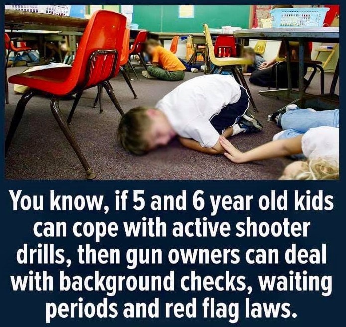 Background checks, waiting periods and red flag laws in perspective…

#GunSense #GunReformNow