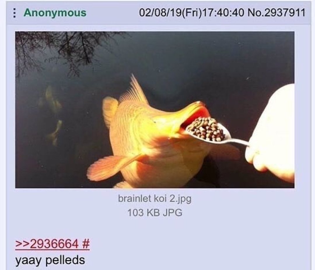 mischiefanimals's tweet image. 