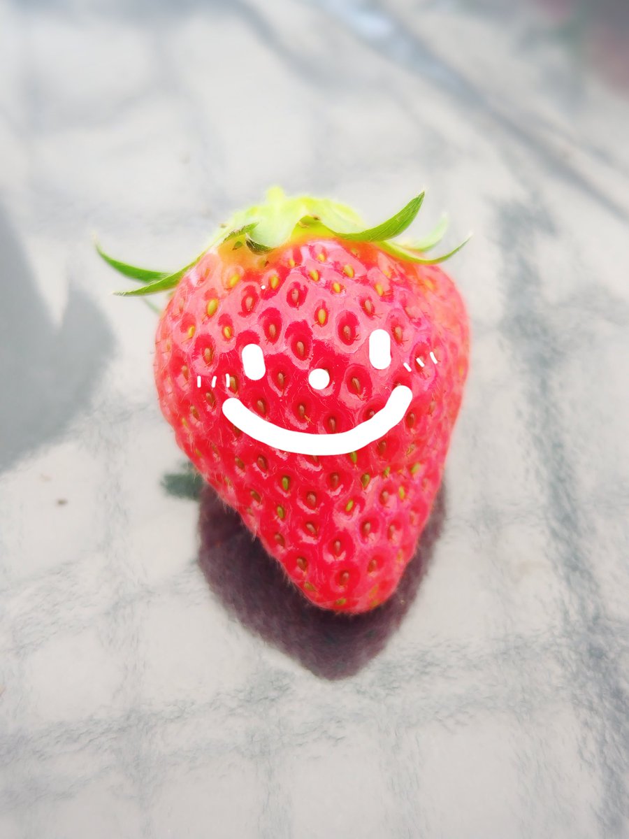 とばり@DQW tweet media