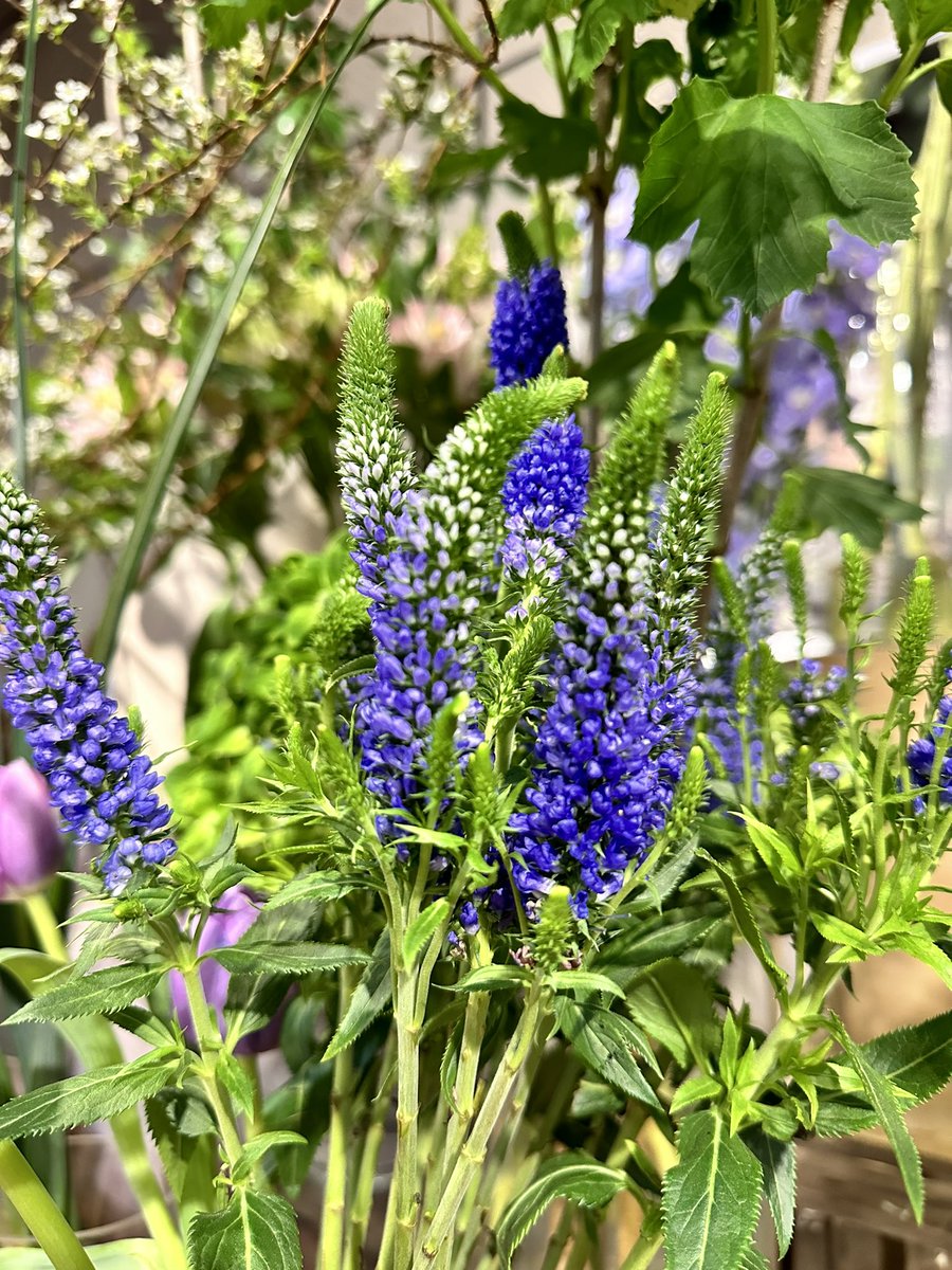 JessieTLL's tweet image. 🙂🙂🙂