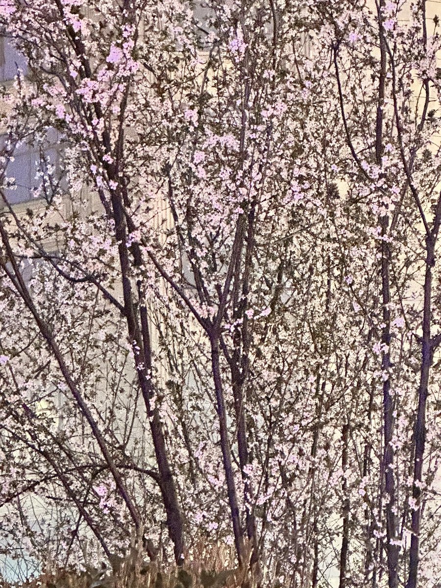 JessieTLL's tweet image. 🙂🙂🙂