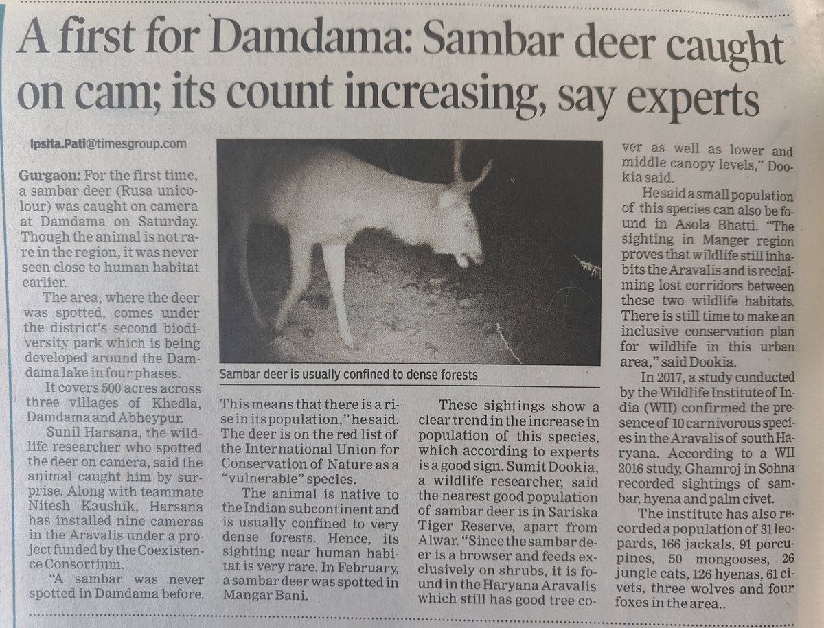 Sambar deer spotted for first time in Damdama #Aravalis @wii_india @FawpsIndia @pargaien @SunilHarsana Read the full story here t.ly/028fZ