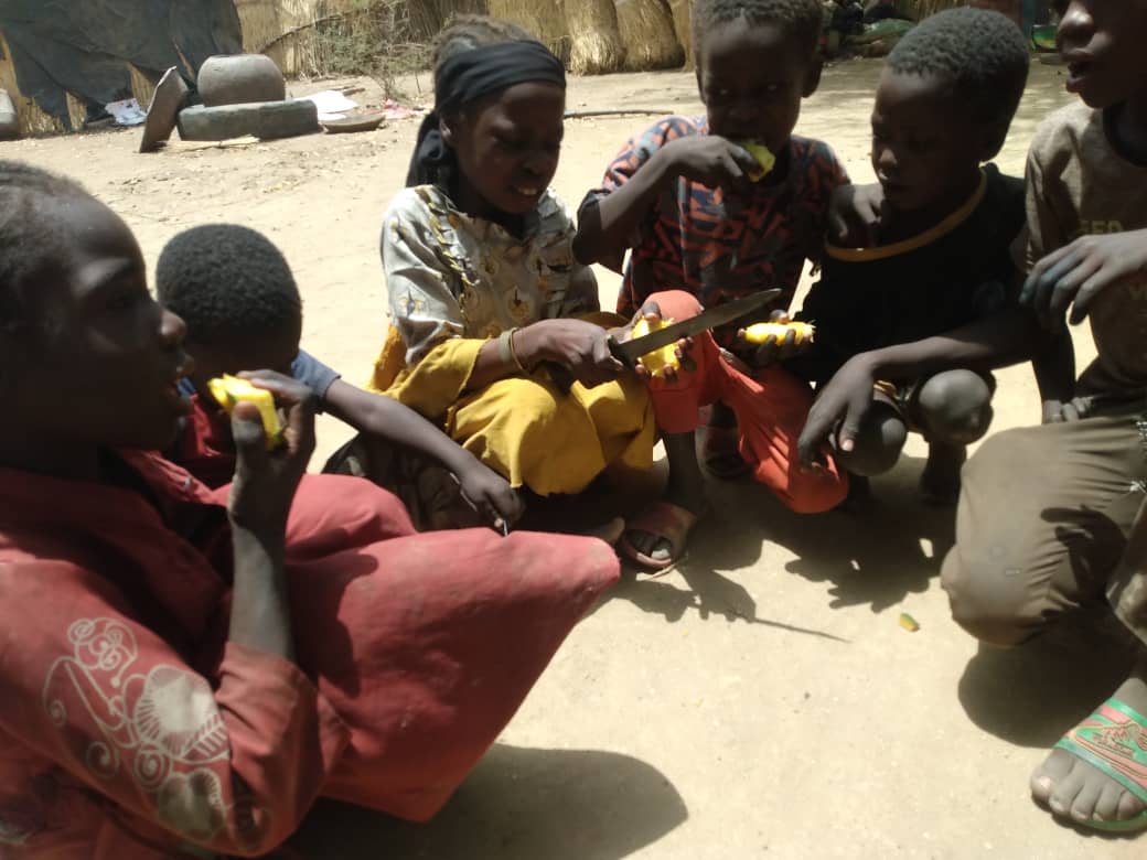 DVSorg's tweet image. هذه الصور تعكس  الوضع الإنساني الحارثي  للأطفال الذين يعانون من سوء التغذية الحاد في مخيمات النازحين  محلية مكجر بولاية وسط دارفور، 17 مارس 2024م، DVS مناشدة انسانية عاجلة لكل المنظمات الدولية والمحلية والأمم المتحدة للتدخل العاجل، ندعوا طرفي النزاع بفتح المسارات الإنسانية.