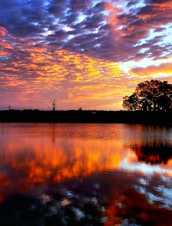 KlatuBaradaNiko's tweet photo. Florida sunrise https://t.co/YG17Z4VjZC