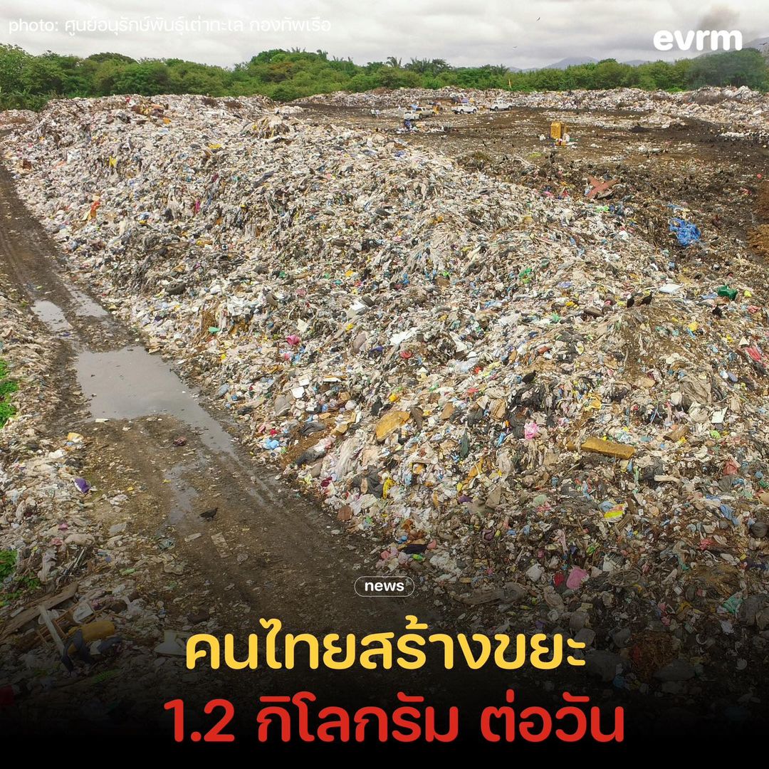 environmanth's tweet photo. คนไทยสร้างขยะ 1.2 กิโลกรัม ต่อวัน ทั้งประเทศมีขยะมูลฝอยปีละ 25.70 ล้านตัน

ขยะมูลฝอย ก็คือขยะที่เกิดจากกิจกรรมต่าง ๆ ของเราในชีวิตประจำวัน ทั้งขยะอินทรีย์ ขยะรีไซเคิล ขยะอันตราย และขยะทั่วไปที่ย่อยสลายยากไม่สามารถนำกลับมาใช้ใหม่ได้

จากข้อมูลของกรมควบคุมมลพิษ ปี 2565 ประเทศไทยมีปริมาณ 25.70 ล้านตัน โดยเฉลี่ยมีคนทิ้งขยะวันละ 1.2 กิโลกรัมต่อคน ซึ่งในขยะทั้งห���ด 25.70 ล้านตันนี้ มี #ขยะที่ถูกนำไปใช้ประโยชน์ รีไซเคิล หรือ 8.8 ตัน หรือ 34.2%

มี #ขยะที่ถูกกำจัดถูกต้อง 9.8 ตัน หรือ 38.1% ซึ่งถูกต้องหมายความนำไปหมักทำปุ๋ย เผาเอาเชื้อเพลิงพลังงาน หรือฝังกลบถูกหลักวิชาการ

ที่เหลือเป็น #ขยะมูลฝอยที่ถูกกำจัดไปอย่างไม่ถูกต้อง 7.1 ล้านตัน หรือคิดเป็น 27.6% ไม่ถูกต้องหมายความว่าถูกกำจัดในเตาเผาขยะที่ไม่มีระบบบำบัดมลพิษอากาศ เทกอง หรือเผากลางแจ��ง

ซึ่งอย่างที่รู้กัน ขยะเมื่อไม่ได้กำจัดอย่างถูกต้องก็จะตกค้างในสิ่งแวดล้อม เน่าเสีย ส่��กลิ่นเหม็น และหลุดลอยออกไปส่งผลกระทบต่อสิ่งมีชีวิตทั้งสัตว์น้ำ สัตว์บก หรือมนุษย์อย่างเราเองในรูปแบบของไมโครพลาสติกได้ ล่าสุด นอกจากอุจจาระของมนุษย์ นักวิทยาศาสตร์อิตาลีพบ #ไมโครและนาโนพลาสติกอยู่ในไขมันที่ติดอยู่กับหลอดเลือดแดงตรงหัวใจ ผู้เชี่ยวชาญเชื่อชิ้นส่วนพลาสติกเหล่านี้อาจทำให้คนเสี่ยงเป็นโรคหัวใจและเสียชีวิตในช่วง 3 ปีข้างหน้าสูงขึ้นถึง 4.5 เ���่า

วันนี้ #วันรีไซเคิลโลก เราเลยอยากรณรงค์ให้ทุกฝ่ายช่วยกันจัดการปัญหาขยะ แต่จริง ๆ ก็ไม่ใช่แค่วันนี้ ทุก ๆ วันก็ทำได้! ในฐานะประชาชน เราก็สามารถลดการใช้ขยะใช้แล้วทิ้ง และกำจัดขยะที่ตนเองใช้อย่างถูกต้อง ทิ้งให้ถูกถัง ขยะที่รีไซเคิลได้จะได้รีไซเคิลได้จริง ๆ

ในแง่ของเอกชนผู้ผลิต อยากชวนให้ใช้นวัตกรรม คิดค้นวิธีลดการใช้พวกขยะใช้แล้วทิ้งในผลิตภัณฑ์ เน้นใช้วัสดุที่รีไซเคิลได้ง่ายแทน ส่วนรัฐบาลก็มีส่วนสำคัญในการช่วยออกนโยบาย ข้อบังคับและบทลงโทษให้มีประสิทธิภาพยิ่งขึ้น อีกอย่างคือในแง่ของการให้ความรู้ หน่วยงานที่เกี่ยวข้องทั้งรัฐและเอกชนก็สามารถส่งเสริมให้ประชาชนรู้เรื่องการจัดการขยะมากขึ้นได้ด้วย ยิ่งถ้าเริ่มบรรจุลงหลักสูตรการเรียนการสอนในห้อง���รียนยิ่งดีเลย

ที่มา
- onep
- thaimsw.pcd
- ddc.moph
