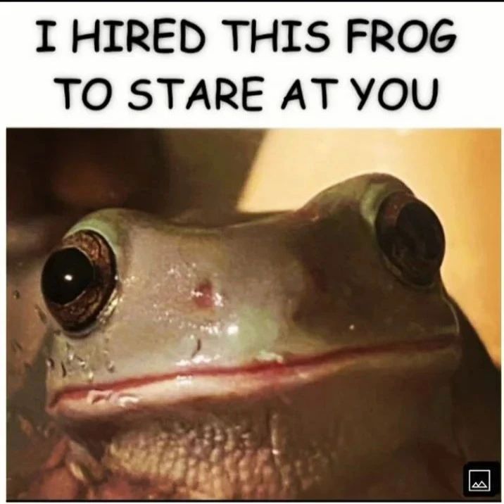 froglover2020's tweet photo. frog https://t.co/nEsVgwF8k7