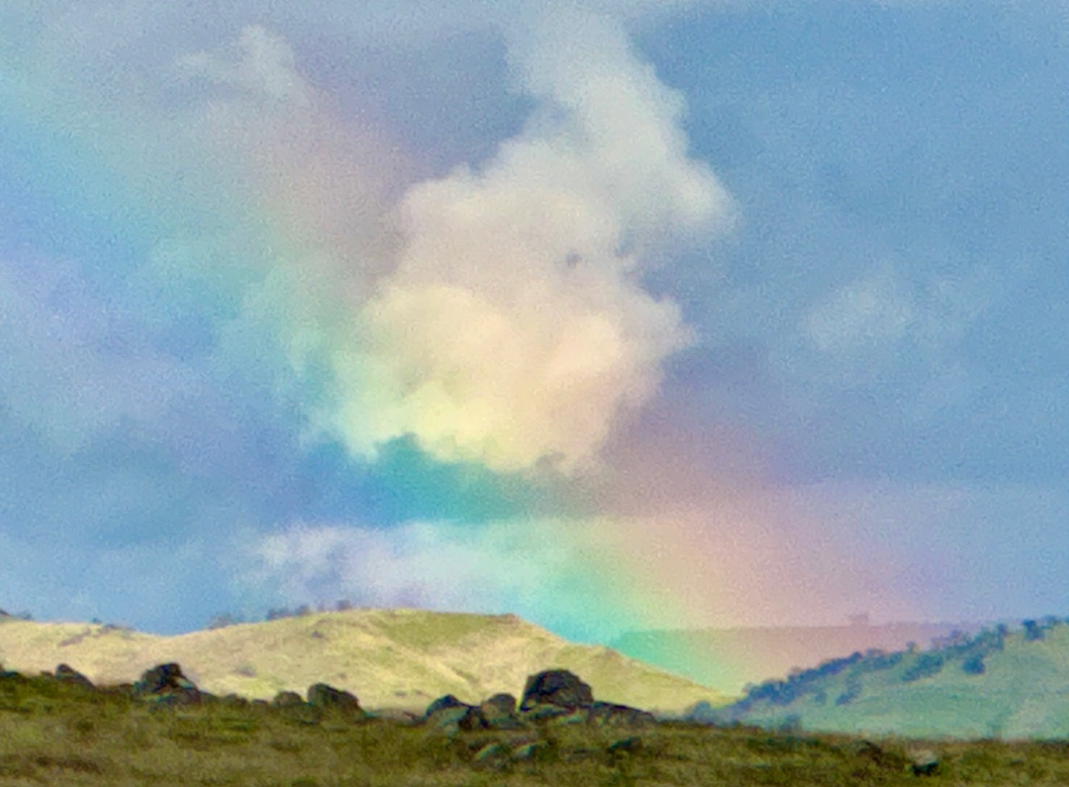 A Rainbow from our most recent storm seems fitting for today. The view was so enchanting, led to thoughts about that mythical Pot ‘O Gold, or perhaps Brigadoon!