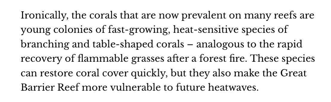 Brace yourself for massive and widespread losses of corals - for the first time in both the northern and southern regions of the #GreatBarrierReef - ending the overblown “recovery”. theconversation.com/the-great-barr…