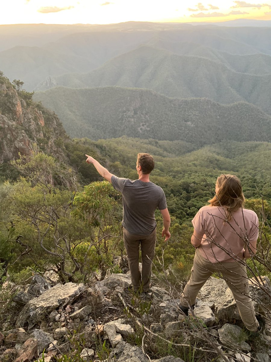 Alex Lipp tweet media