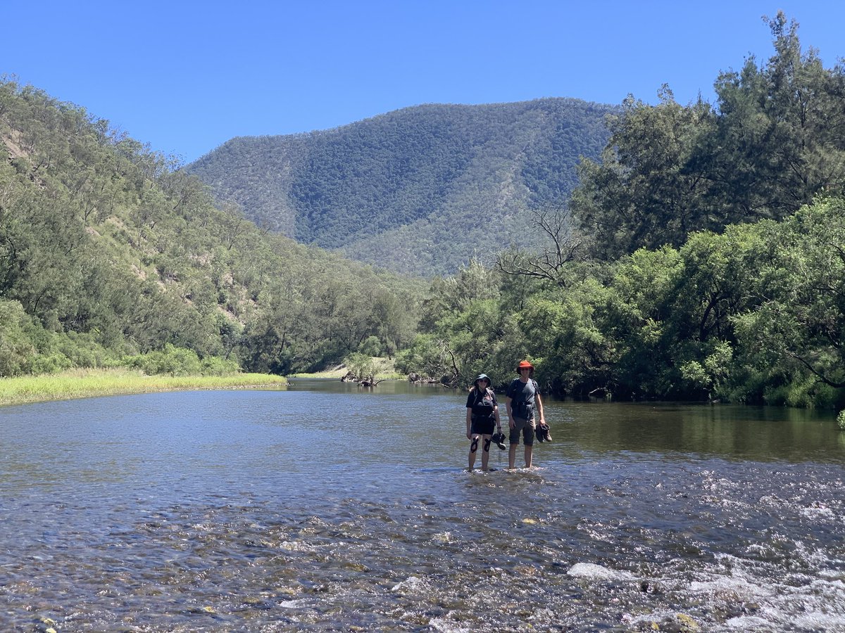 Alex Lipp tweet media