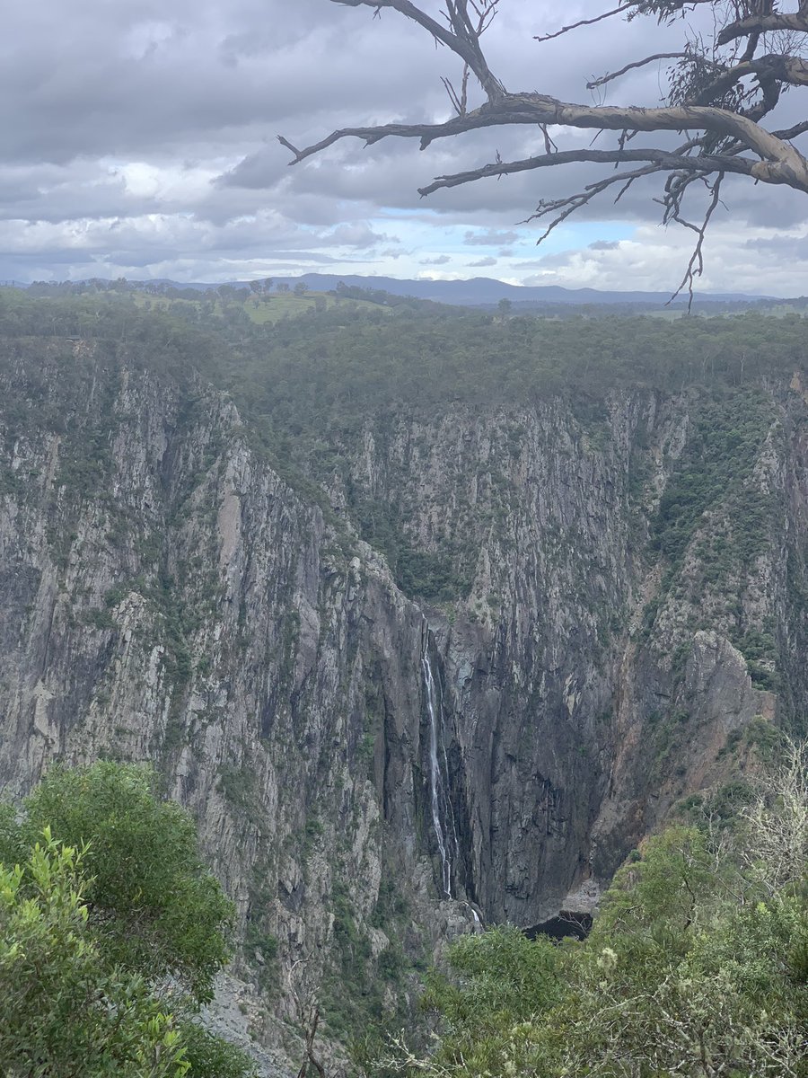 Alex Lipp tweet media