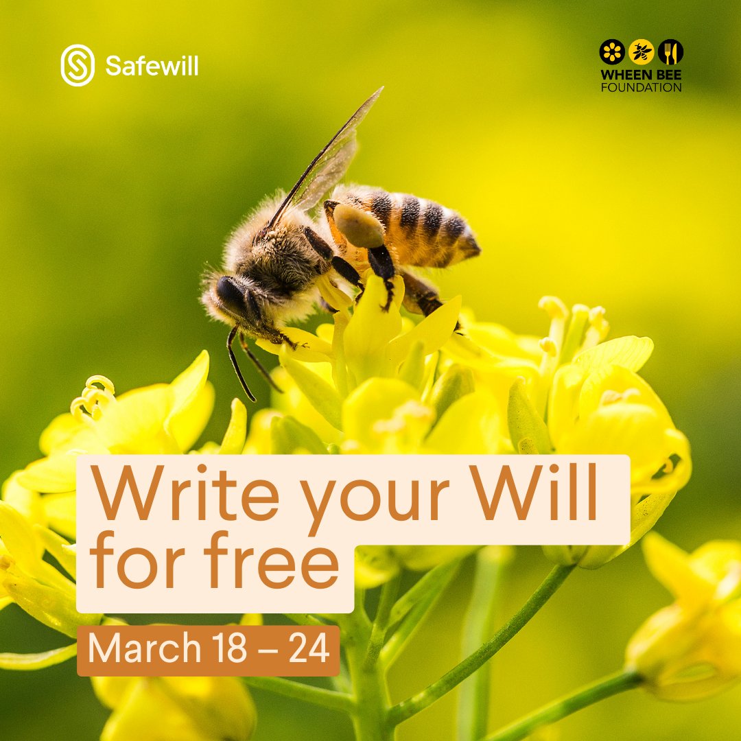 From 18–24 March, our partner Safewill is offering our supporters the opportunity to write a Will for free. Consider leaving us a gift in your Will to help fund vital research and community projects that protect bees. Write a Will for free at bit.ly/3ThciG1 #willsweek