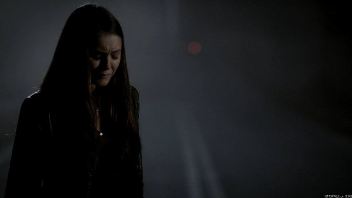 After Stefan made Elena go through the biggest trauma of her life, he left her alone on the bridge where her parents died saying that the only thing that matters to him was revenge against the Klaus, and it didn't matter if he had to step over Elena