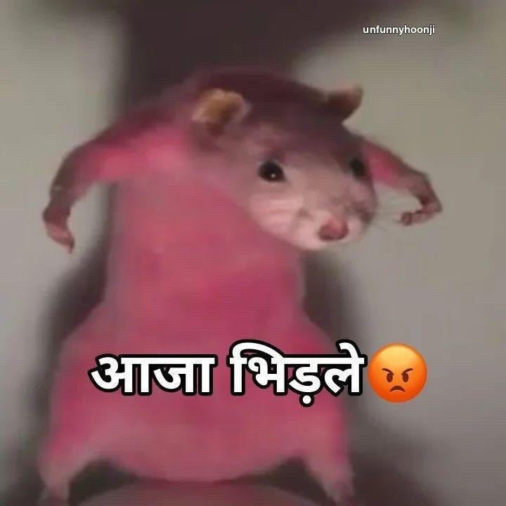 rohitbutbliss's tweet photo. @Heygeekfruit @milindmishra_ @TanishqSingla_ https://t.co/s64Jey3ov8