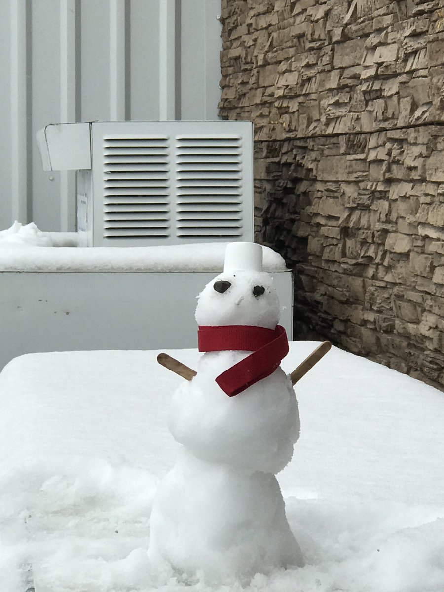 DragonSlayerGal's tweet photo. You were the one I went to for computer geek stuff. We would nerd out together at work about MineCraft and VR chat! You were the only one in this small watering hole of town that understood me. I will never forget you! Our snow man was the best! Love you and miss you forever!😭 https://t.co/3HQu2gqj9a