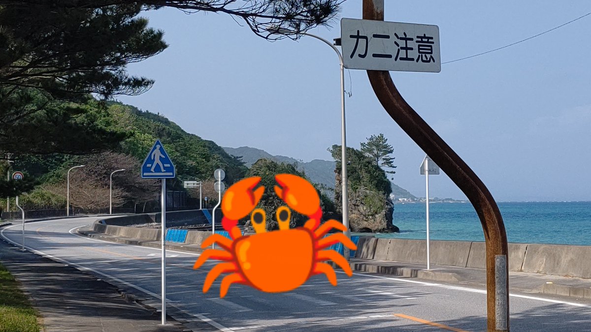 Boruchan_'s tweet photo. #カニ注意 

#大宜味村 #国道58号 #国頭村 
#注意喚起 #route58 https://t.co/T772iCfpAT