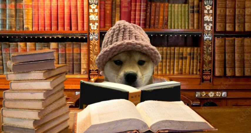 1Patriot2020's tweet photo. DOGWIFBOOK $WIFBOOK #WIFBOOK

Smart Dog 
Nice Hat https://t.co/IesuGLiQ1z