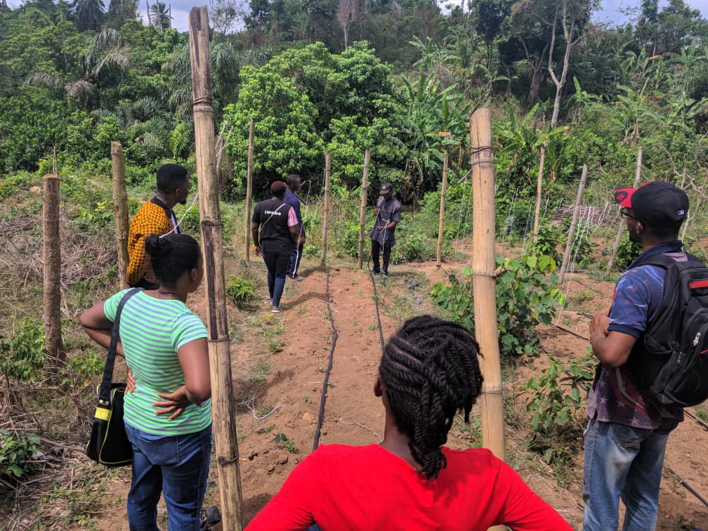 🌱 Exciting news! Introducing the Raise a Farmer Initiative! Our mission? To teach young people about sustainable farming 🌿 and ensure Nigeria's food security 🇳🇬 Let's grow together!  #RaiseAFarmer #SustainableAgriculture #FoodSecurity