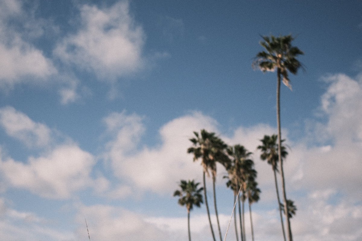 3/17/24 Sunny Sundays #xpro3 #fd28mmf28