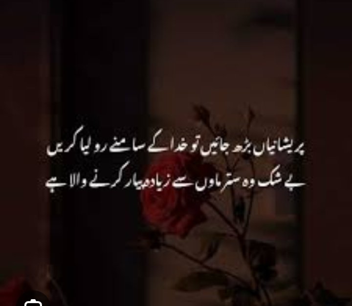 السلام و علیکم 🌹❣️❣️❣️
بیشک اللہ تعالیٰ ہم سے ستر ماؤں سے بھی زیادہ پیار کرنے والا ہے ❤️❤️❤️❤️❤️💐🥰🥰🥰❣️❣️💕
#NCAATournament #كيت_ميدلتون #sundayvibes #DWTSIRL