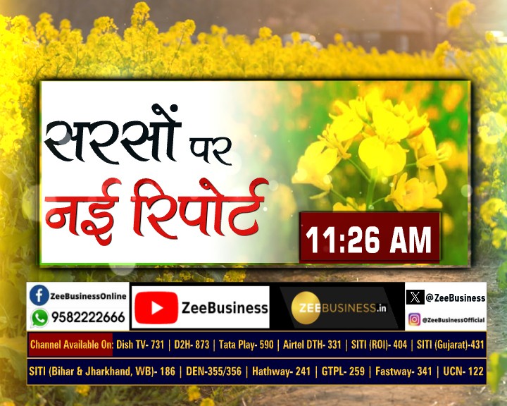 ZeeBusiness's tweet image. 🌟सरसों पर MOPA की नई रिपोर्ट

कितना होगा सरसों का उत्पादन?

सरसों का भाव बढ़ेगा या घटेगा?

सोने में गिरावट पर क्या करें?🪙

देखिए #CommodityLIVE  मृत्युंजय कुमार झा के साथ...

@MrituenjayZee #GoldPrice #CommodityTips 

Zee Business LIVE: bit.ly/3TFVuZJ