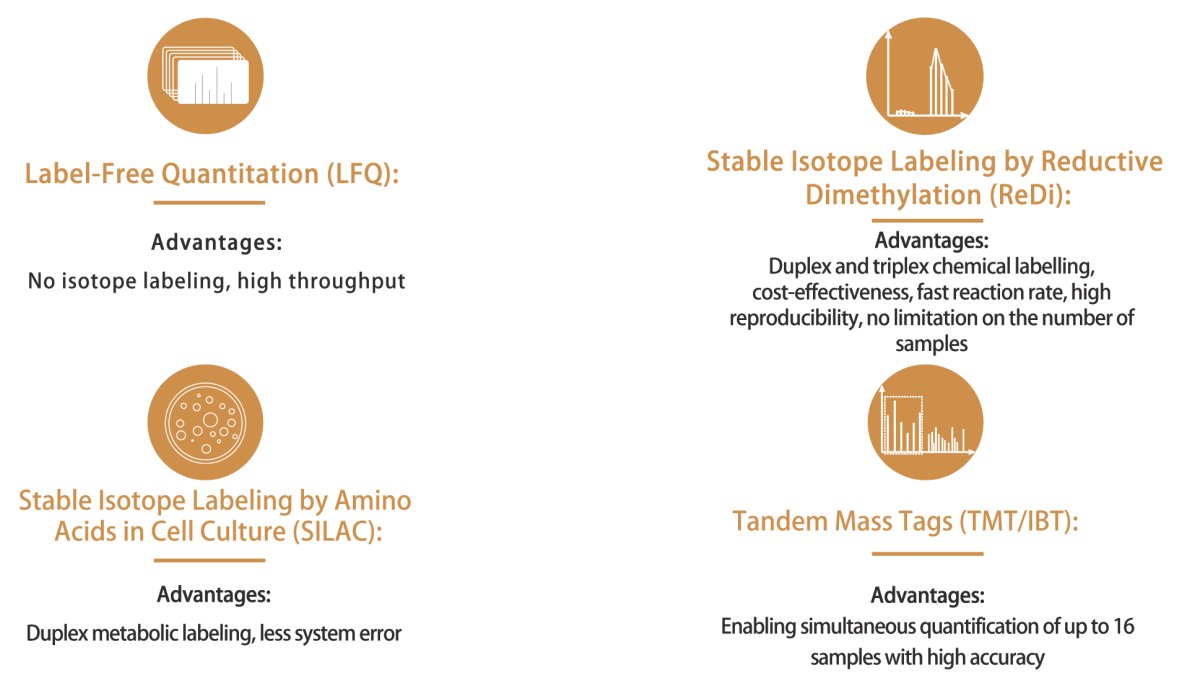 Differential proteomics 🔬 investigates proteome changes under different conditions, identifying key markers for analysis. Using the ChomiX protocol, thousands of proteins can be quantitatively identified. #Proteomics #Research 🧬💼