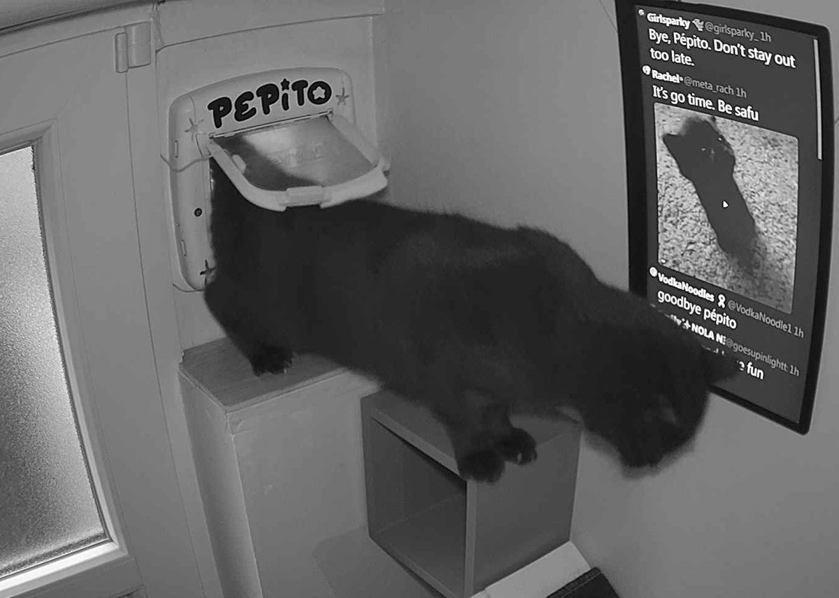 Pépito tweet media
