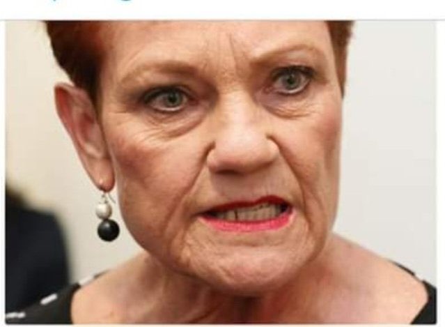 A visage twisted into a hideous rictus of hatred by a toxic lifetime of bigotry and fear-mongering - and this indelible stain on our nation’s politics is an elected member of our Parliament … poor fellow, my country! #auspol #OneNationFascists #FuckOffHanson #VoteHerOut