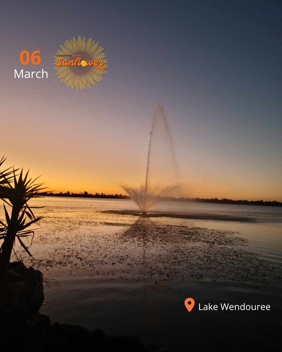 Let us share with you a picture of Lake Wendouree in Victoria as its colour change to vibrant yellow/gold, standing tall and bright in support of Scleroderma Australia's #SunflowerDay on 6th March! 🌻

We appreciate you.🌻

Photo Credit: Courtesy of Lake Wendouree, Victoria.