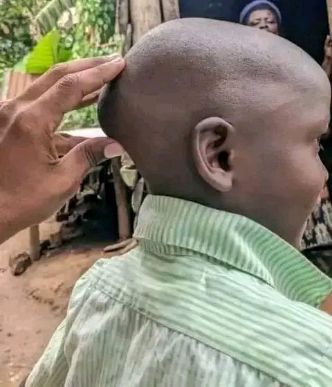 Zoom Afrika tweet media