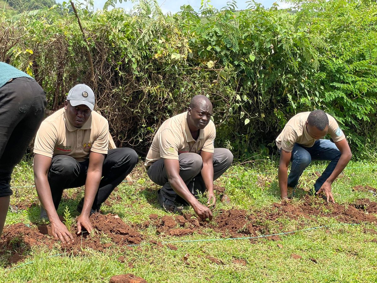2/3 The trees were planted as part of the 10 year campaign where the Government intends to plant 15 billion trees by 2032. <a href="/TourismKE_/">State Department for Tourism Kenya</a> is expected to plant 50 million trees in the same period. #JazaMiti #BoreshaUtalii