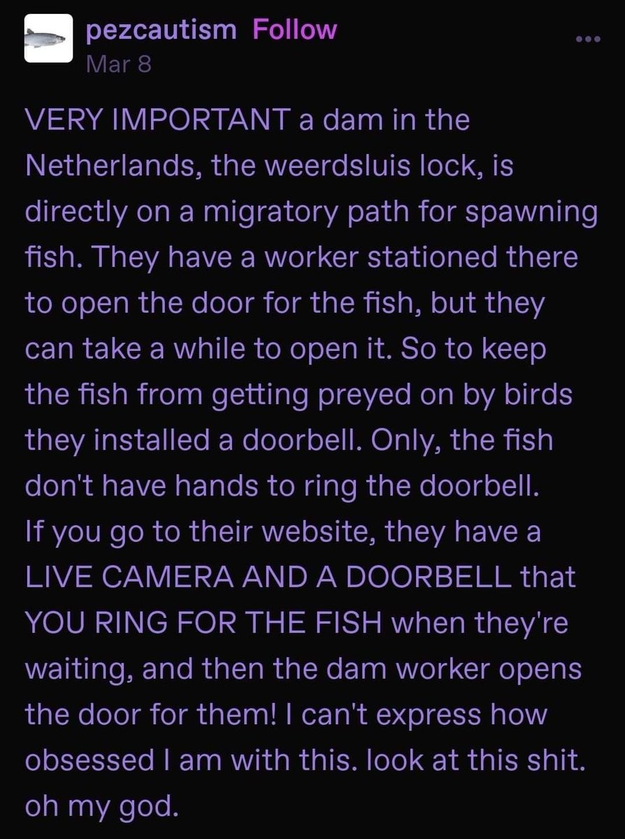 I NEED to tell you about the fish doorbell! (Link in thread!) 🧵 This is a real thing: