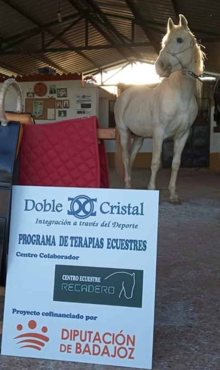 Doble Cristal (@doblecristal) on Twitter photo 