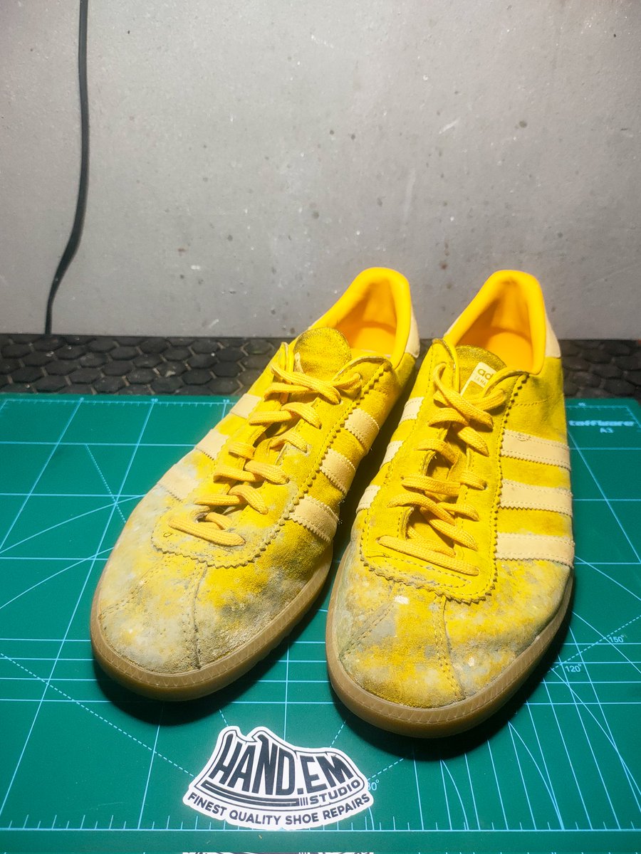 Hand_emStudio's tweet photo. 🟡 Sunshine Bermuda in for Steam &amp; Deep Clean! 🟡

Would you let them clean your kicks? https://t.co/Qu27lhnAA9