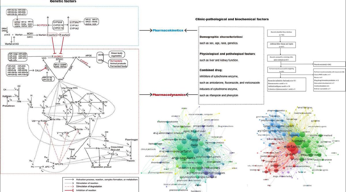 Another publication: Warfarin–A natural anticoagulant: A review of research trends for precision medication. Published in Phytomedicine 
doi.org/10.1016/j.phym…
@_atanas_ @_Sivasai @_INPST #INPST #DHPSP #NPMND #SCICADD #SCINATMED