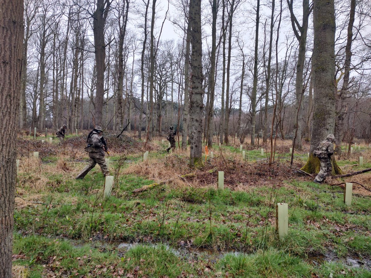The Royal School, Wolverhampton CCF tweet media