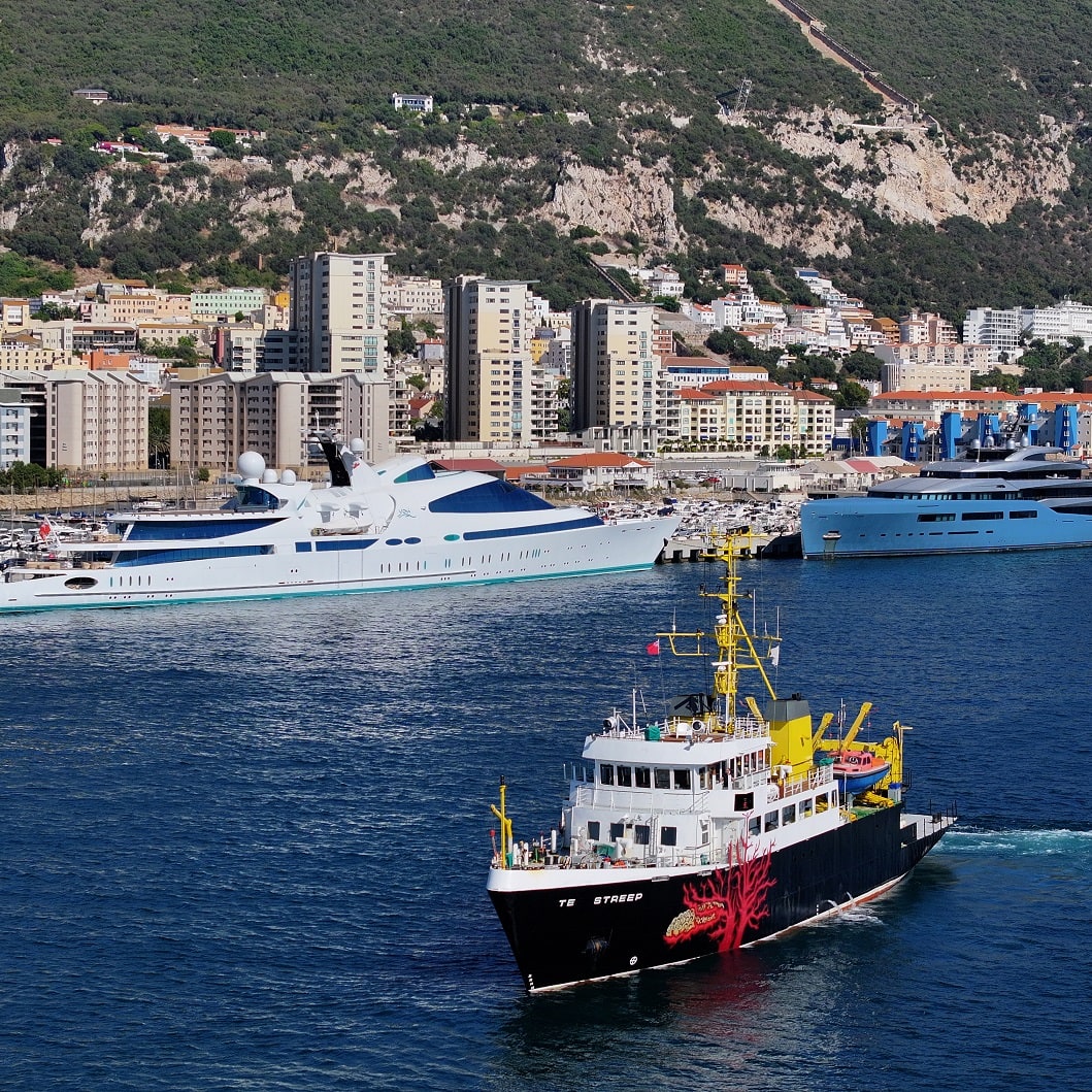 The real Explorer TE STREEP is coming back to the Western Med this summer... And, is set for hosting a team of underwater photographers to film Orcas hunting Tuna on the Atlantic side of the Strait of Gibraltar. #exploreryacht #expedition #ship