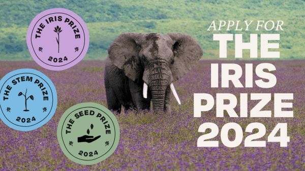Are you aged 14-24? Do you have an idea or an established project protecting or restoring nature in your local community? Apply now for the Iris Prize 2024: opd.to/3ILopoF The Iris Project awards three grants each year in conjunction with a locally-delivered capacity