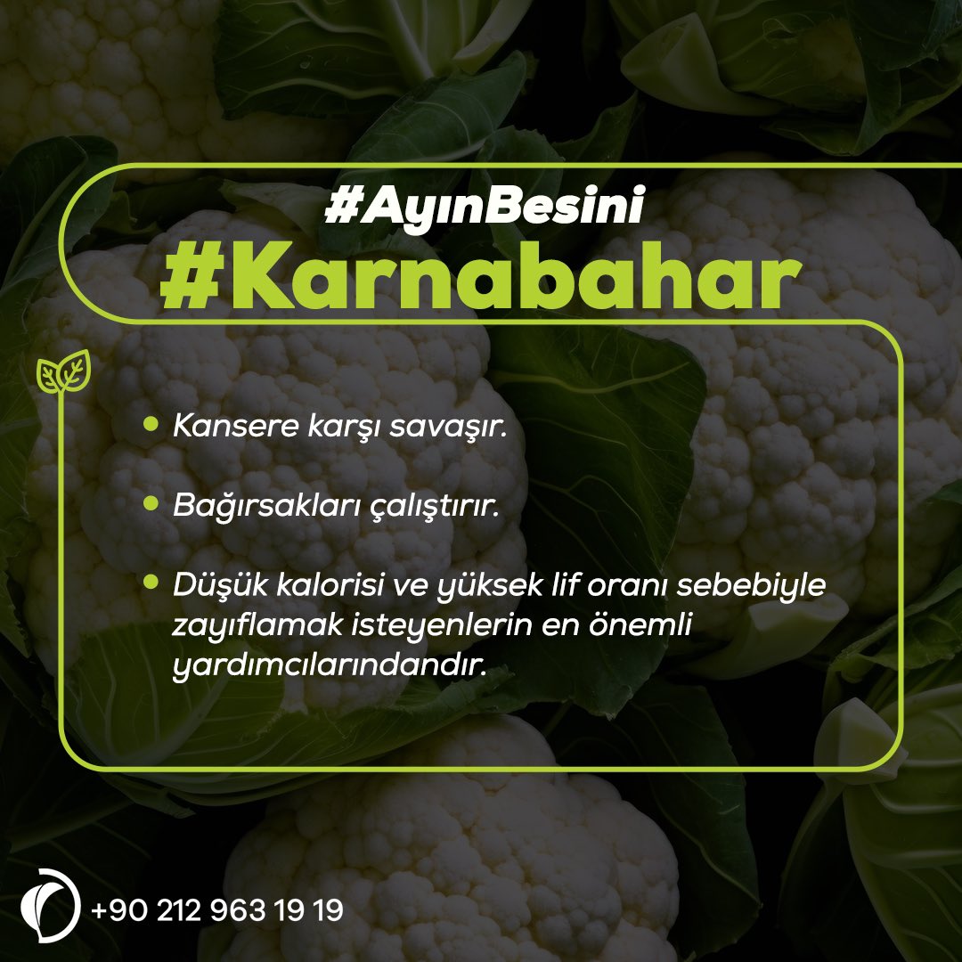 🌱 Ayın besini: Karnabahar! 🌱 Karnabahar, karalahana ve brokoli gibi bol miktarda sulforafan ve indol maddeleri içerir. Bu maddeler, hücrelerin kanser yapıcı maddeleri atmasına yardımcı olur. Ayrıca, karnabahar iyi bir lif kaynağıdır ve potasyum, magnezyum, manganez, C vitamini,…