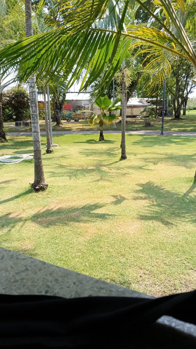 nitiphumip93826's tweet photo. #หนองจอก #นัดเย็ดหนองจอก https://t.co/mkE2URPEIz