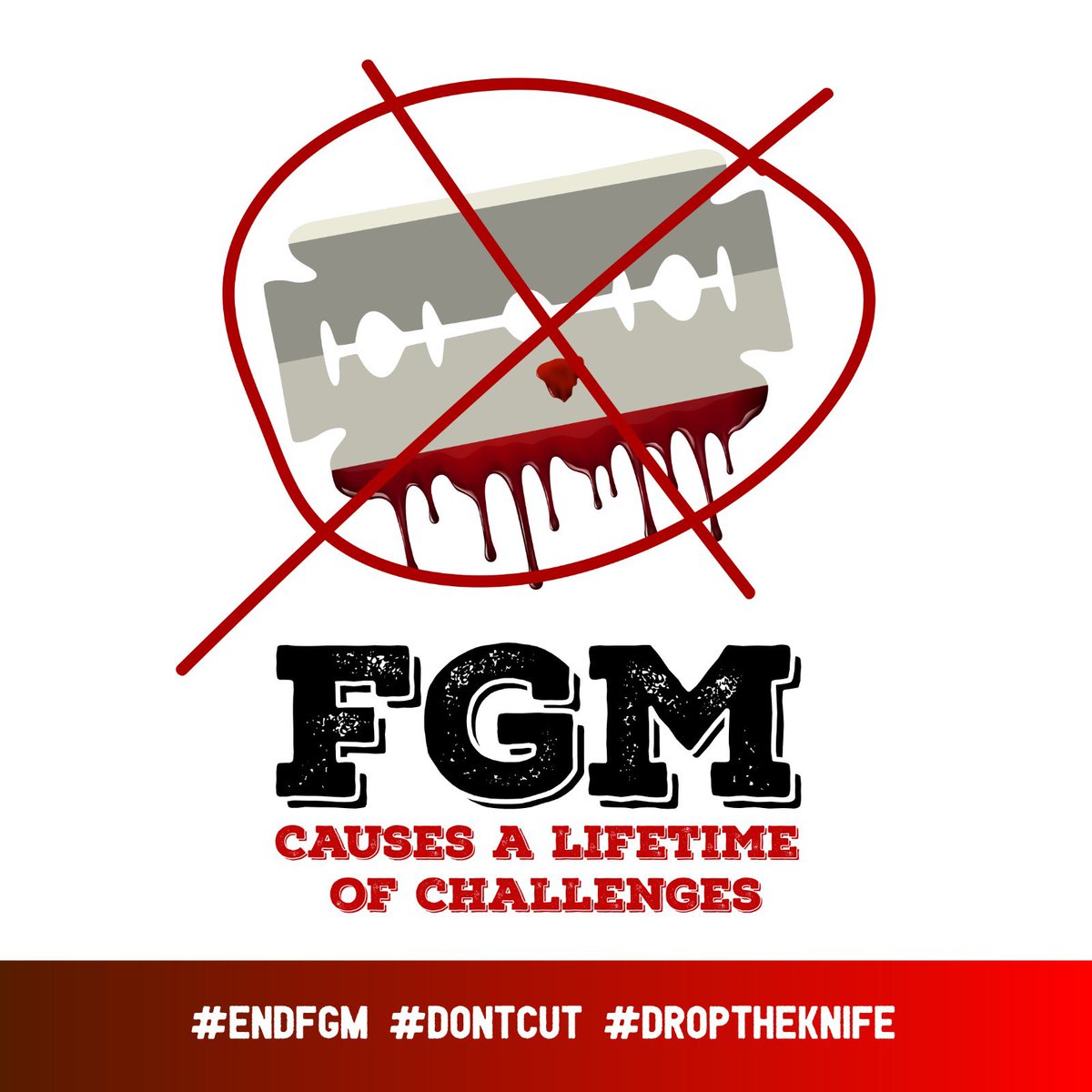 OmarChampion_'s tweet photo. As we count on the good conscience, leadership ethics and respect for fundamental human rights from the National Assembly Members today, we remind each other of these key messages, the one that stands out to me the most being frame 1 😭 We can’t fumble ✊🏾

#EndFGM220 https://t.co/5Smp4ESWQW