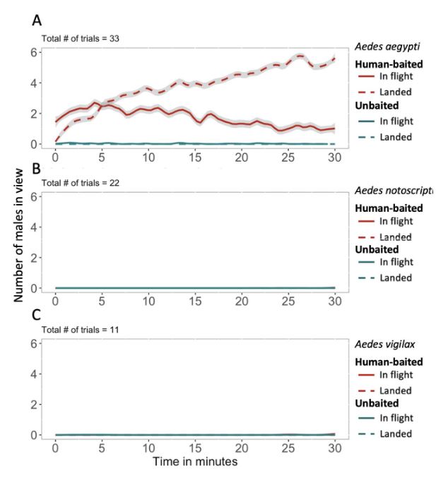 BiogentsAG's tweet photo. Insights into #MosquitoEvolution and behaviour & implications for mosquito control programs involving males
π‘ Male attraction to humans is restricted to a handful of species including #Aedes aegypti & Ae. albopictus. #malemosquitoes #mosquitomating
π https://t.co/g79pA9bU2r https://t.co/aavnmzQUwy