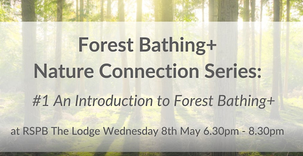 Join @TFB_Institute Guides for our 6 week Nature Connection Series of #ForestBathing sessions @RSPBTheLodge Designed to foster a deeper relationship with #nature boost mind & body, you will meet a like-minded supportive community so do join us zurl.co/eArl #wellbeing