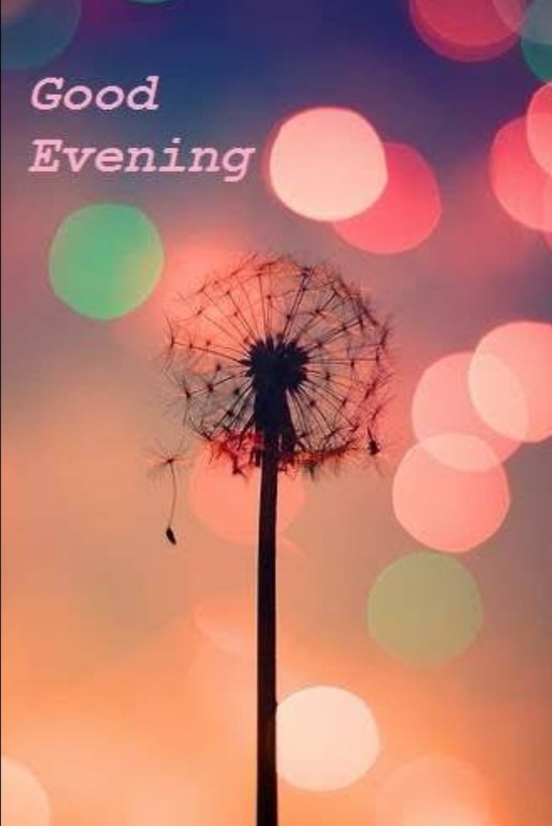 Asalam Alaikum!
Good evening🙂