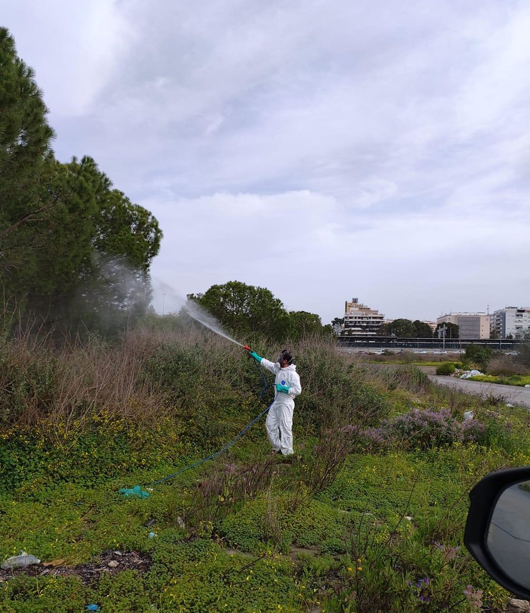 DipuHU's tweet image. 🦟🧪El Servicio de #ControldePlagas de @DipuHU   continúa con el amplio dispositivo de tratamientos #biocidas que dio comienzo el pasado  lunes, 11 de marzo, y que se extenderá hasta el viernes #22marzo
🟢Imágenes de zonas de marismas cercanas a la estación de Renfe