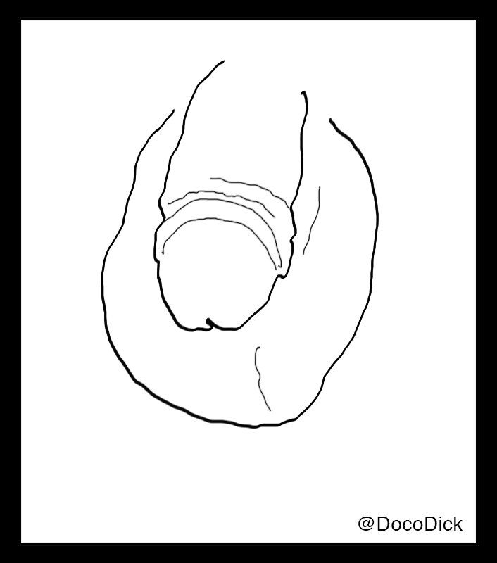 DocoDick's tweet photo. ๐ Male bonding is about more than just surface-level connectionsโit's a space where trust, support, and emotional growth thrive. Let's nurture these connections and uplift each other. #EmotionalSupport #MaleBonding #SupportiveSpaces https://t.co/OAmPpCgvVi