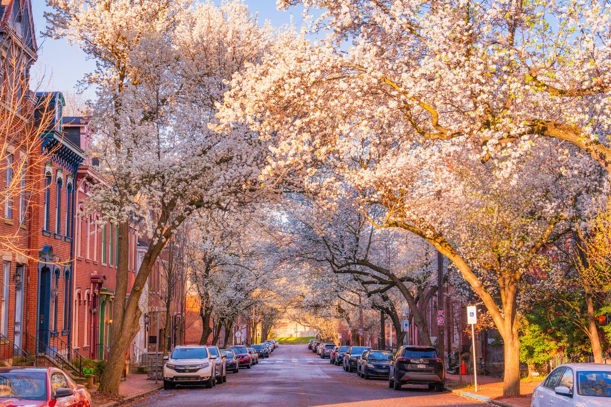 Dave DiCello tweet media