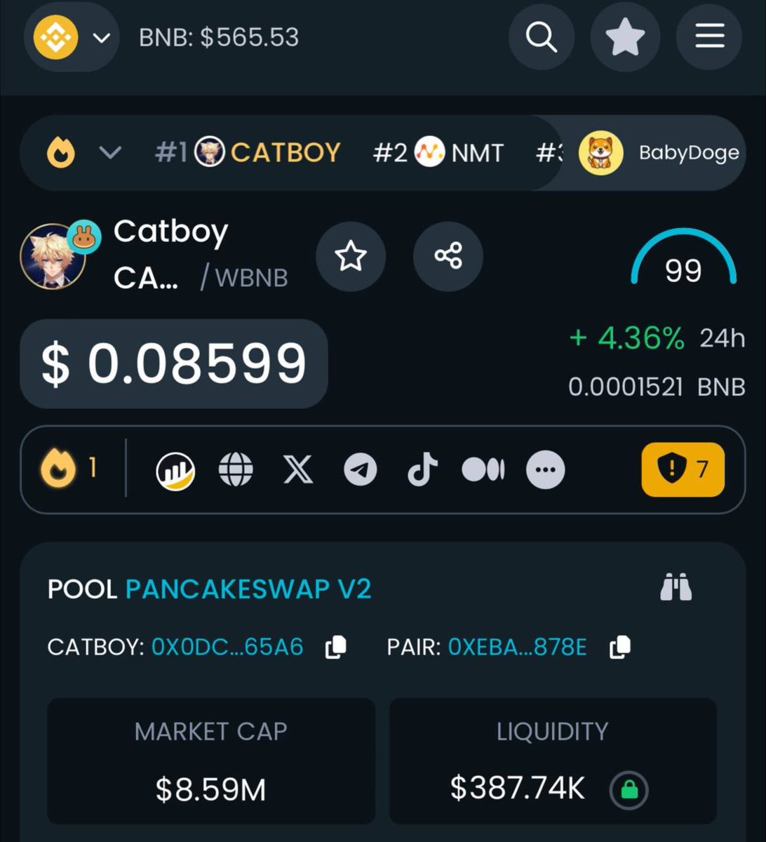 LegacyOnBNB's tweet photo. Catboy is once again trending on dextools #1 😼

https://t.co/XAtuTIFvmv

#Catboy #Dextools #Trending https://t.co/UoD5NLwjEb